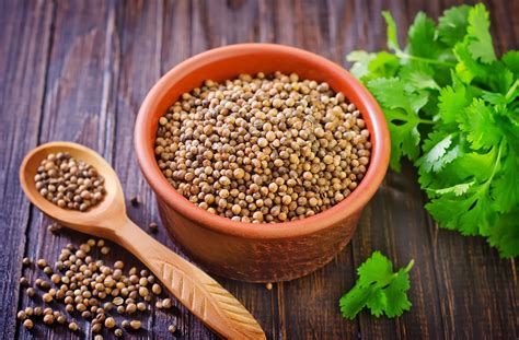 coriander .